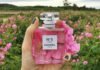 Why Grasse, France Is Known as the Perfume Capital of the World Perfume Capital of the World