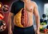 Why Visceral Fat Is More Dangerous Than You Think: Signs, Risks and How to Reduce It Visceral Fat